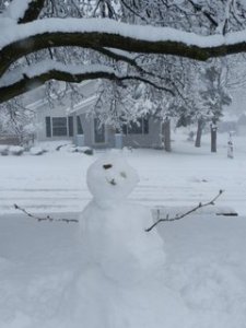 Nine inches of snow fell today