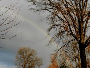 If there are still rainbows, there is still hope